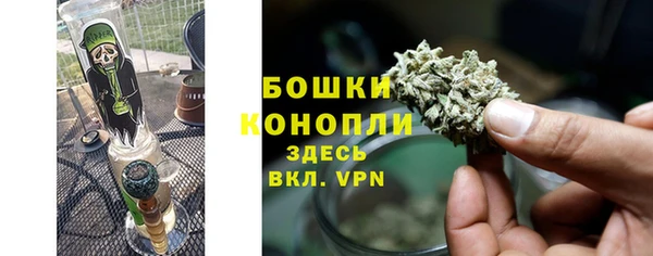 крисы Арсеньев