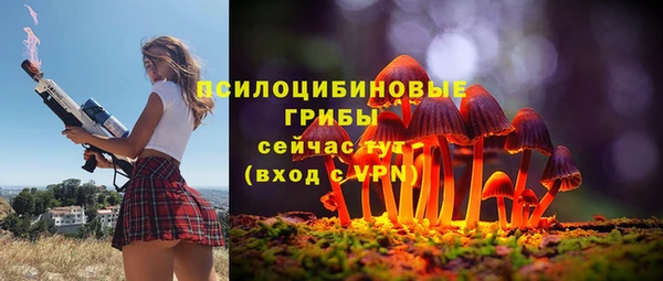 крисы Арсеньев